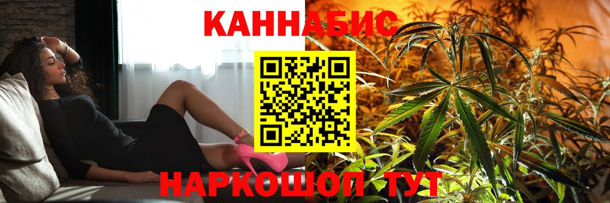 Конопля планчик Муравленко